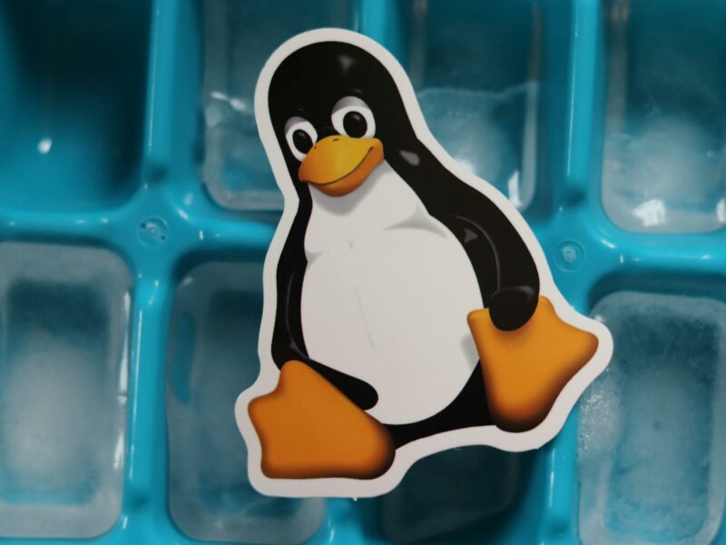 linux tux penguin mascot cutout lying on a tray with ice cubes